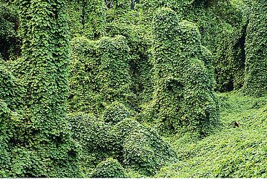 Annapurna和Remedy达成战略合作 资助《控制2》并将《心灵杀手》、《控制》改编成影视剧